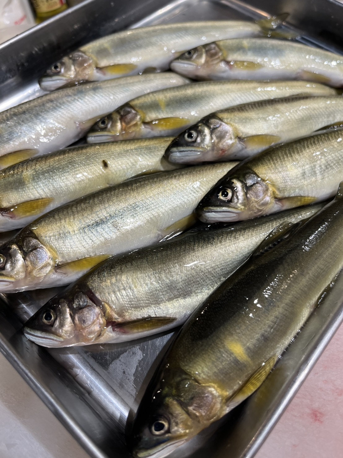 新鮮な海の幸を味わう、贅沢なひとときをあなたに